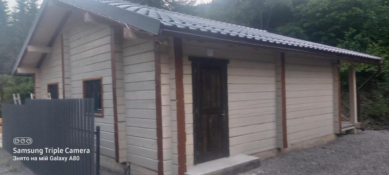 Hotel Berloga-Sinevir Synevyrsʼka Polyana Exteriör bild