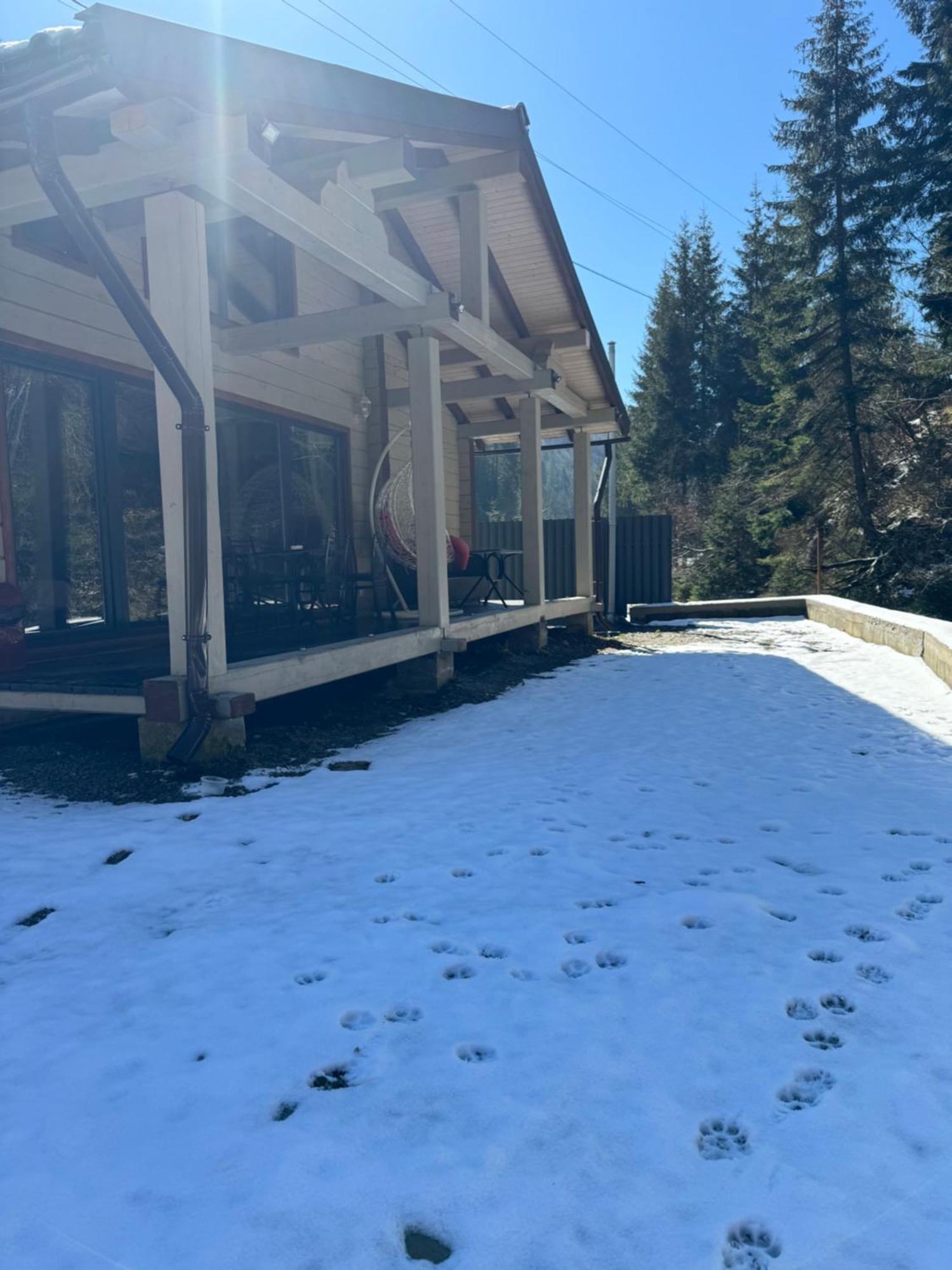 Hotel Berloga-Sinevir Synevyrsʼka Polyana Exteriör bild
